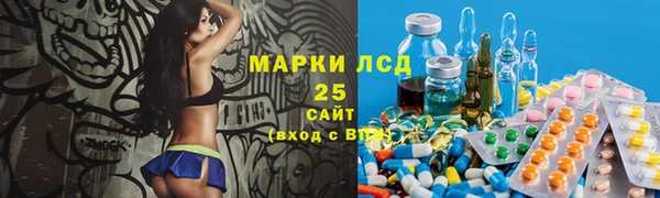 прущие грибы Балахна