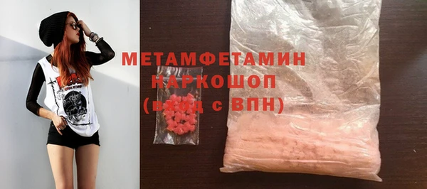 прущие грибы Балахна