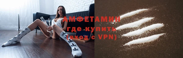 прущие грибы Балахна