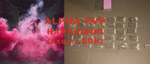 прущие грибы Балахна