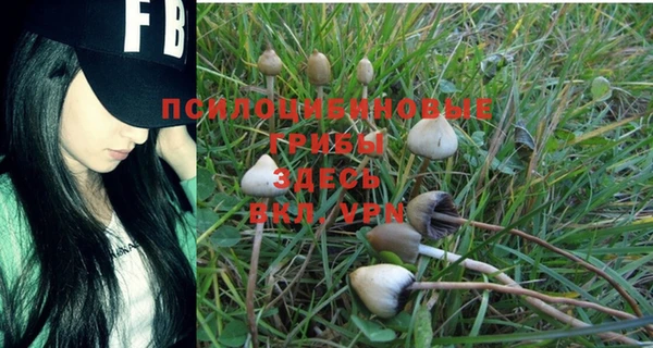 марки nbome Баксан