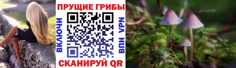 Галлюциногенные грибы GOLDEN TEACHER наркота Унеча