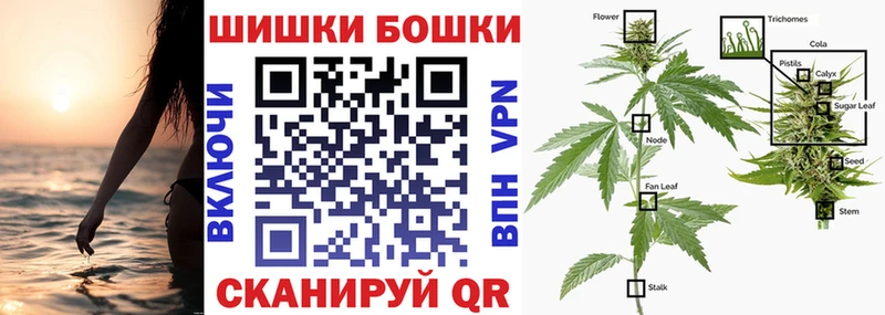 купить наркоту  Унеча  Конопля LSD WEED 